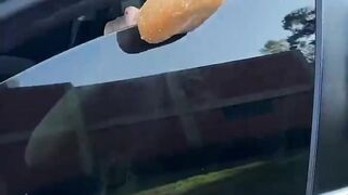 Funny ???? video| clip vandom