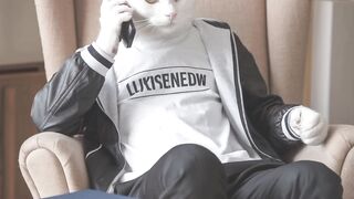 cat sad stroy