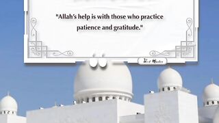 Best Quotes #shorts #shortvideo #shortsfeed #short #shortsviral #quran #video #viralvideo # 9