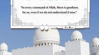Best Quotes #shorts #shortvideo #shortsfeed #short #shortsviral #quran #video #viralvideo # 11