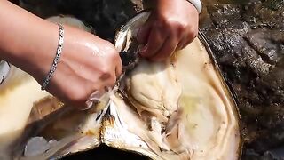 The Careful Harvesting of the Freshwater Pearl King: A Delicate Process