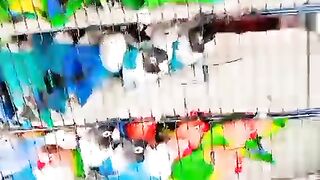Colors of parrots