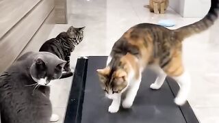 Trying out some exercise