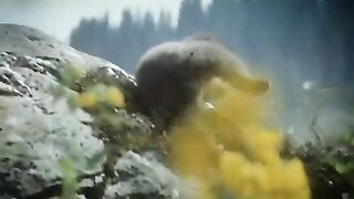 The Bear (L’ours) (1988)