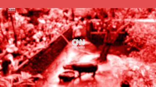 VIDEO: Antusiasme War"VIDEO: Antusiasme Warga Thailand Lihat Moo Deng si Kuda Nil Viral"