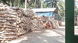 Bahan baku pallet