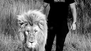 Editing video with Lion
