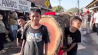 small child pushing large teak wood