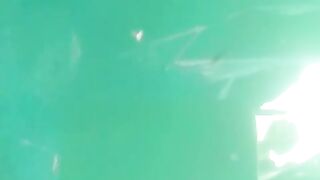 Larva lele yang SEHAT mau Pagi, Siang, Sore, Malam, Tetap aktif dan makan