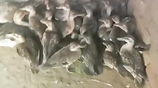 Under the ceiling