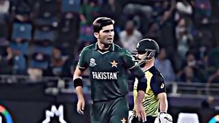 SHAHEEN ALWAYS BEST ????||Shaheen Afridi|Shaheen is on Fire ????