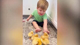 Cute Funny Baby| Funny moment of cute baby| Cute Baby