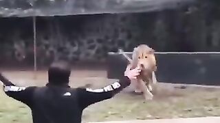 ANIMALS REUNITED WITH OWNERS AFTER YEARS! #shorts