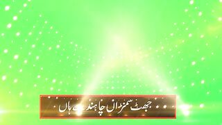 Shafaullah Rokhri Hik Rali Sham Manawha Gy Punjabi Saraiki Whatsapp Status