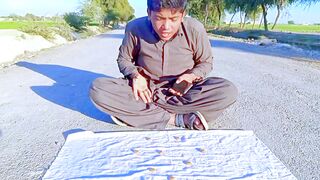 Degu Begu Funny | comedy by degu begu