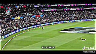 Cricket lovers