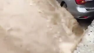 سعودی نوجوان کو بڑی مشکل سے بچالیاگیا