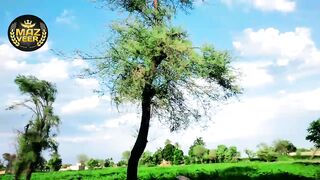 My village vlog|| life of village