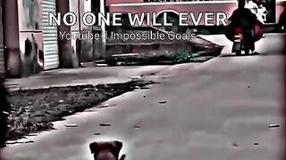 Dog Other happyness ----♥️ Sigma rule Inspirational quotes _short _shortvideo _quotes
