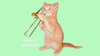 Trumpeting cate