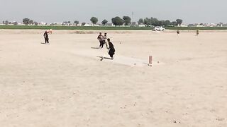 Cricket