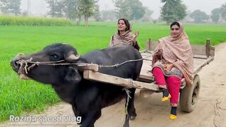 Sardio me ye kam krna prta ha
