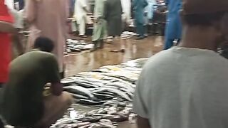 Karachi Fish Market