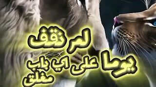 كلام يخلي الشخص يعرف قيمتك