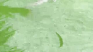 Cara mengobati penyakit JAMUR pada ikan lele