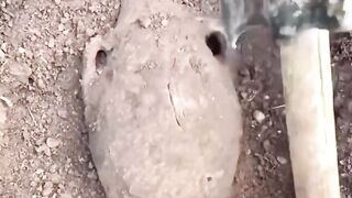 Comedy video 93