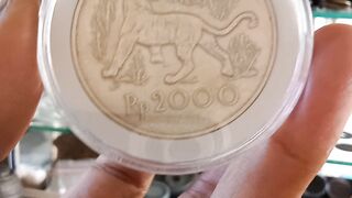 Wow Javanese Tiger on coin