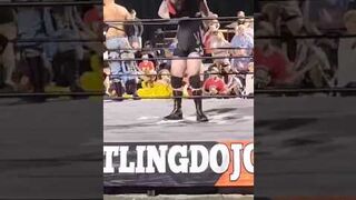 Back suplex after back suplex
