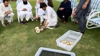 یہ دنیا دھوکے کا گھر ہے || مولانا طارق جمیل ||
