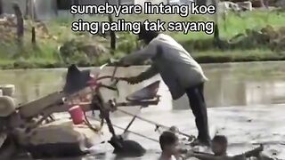 Mauu lucu lucu an di sawah