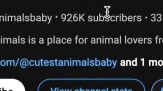 Channels Making Millions from Animal Videos!