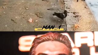 That is real brave Men
