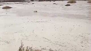 Suscríbete ???????????? 2