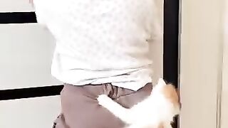 cute little puppy 2
