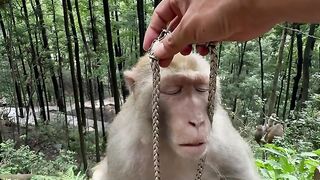 Top funny video 6
