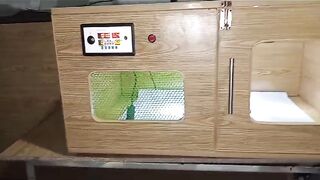 Incubator ll chicken