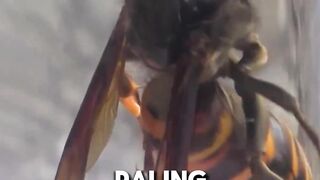 77777777777777777777777777