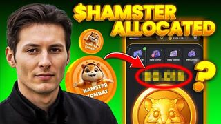 The Hamster Kombat token has been distributed
