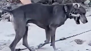 Oops Moments Caught on Camera