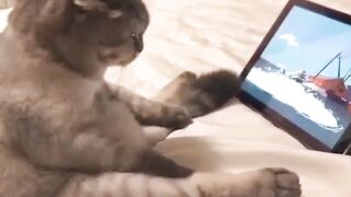Fail Frenzy: Non-Stop Hilarious Moments