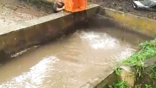 Proses PANEN ikan lele konsumsi dikolam TANAH
