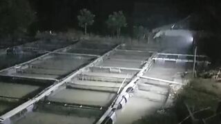 Lampu penerangan kolam itu PENTING untuk patroli malam