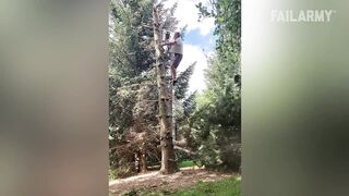 Les idiots de la semaine,