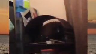 VIDEO LUCU 7