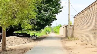 Simple Village Life Punjab  #simplelifestyle #villagelife #desimahol #viral #trending