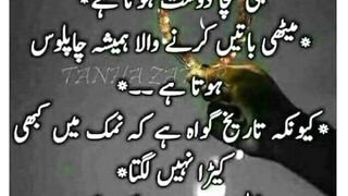 beautiful Urdu quotes //golden words //good thinking //aqwale Zareen
